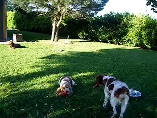 Jacée et Figari ont déchiqueté les pots !