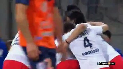 0-1 Blaise Matuidi Goal - Montpellier vs PSG 16.05.2015