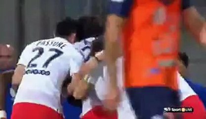 0-1 Blaise Matuidi Goal - Montpellier vs PSG 16.05.2015