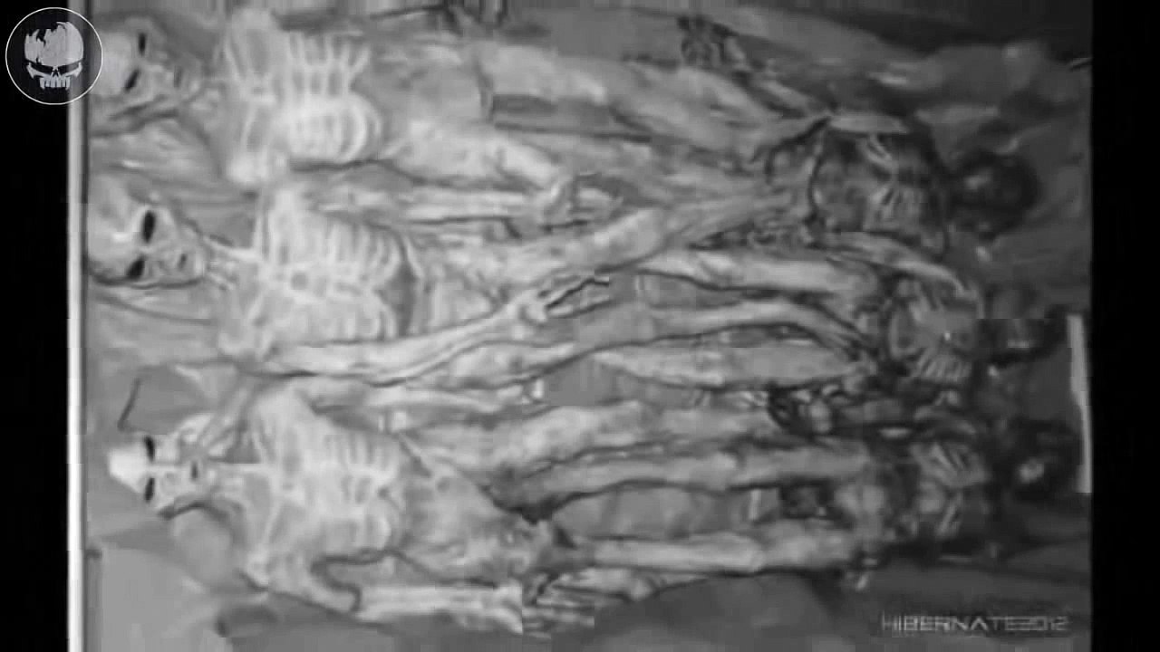 Fotos de extraterrestres tomadas por agentes de...