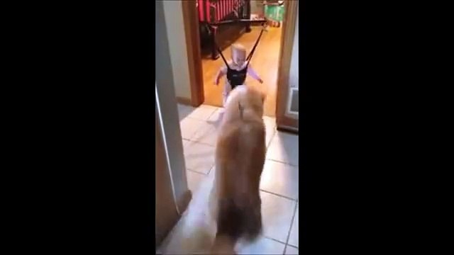 Bebeğe Zıplamayı Öğreten Köpek