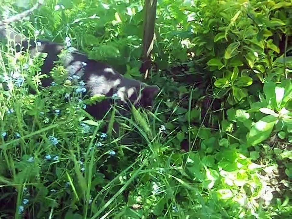 j' partage pas ma souris!
