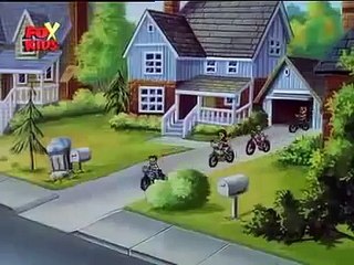 Viata Lui Louie -  Baiatul De Mingi