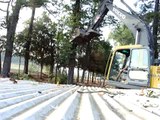 Volvo Excavator knocking down pine trees