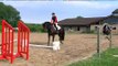 Ingrid Klimke, Basic Training for Riding Horses, Vol. 1: the four year old horse, pferdia tv