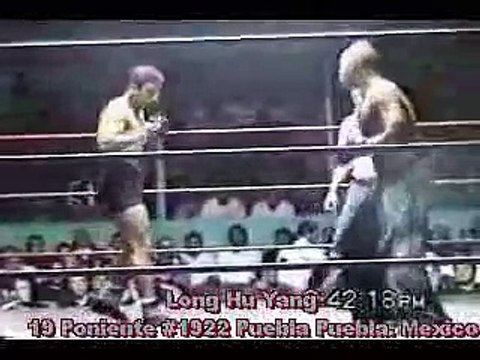 MMA - Capoeira vs. Kickboxer