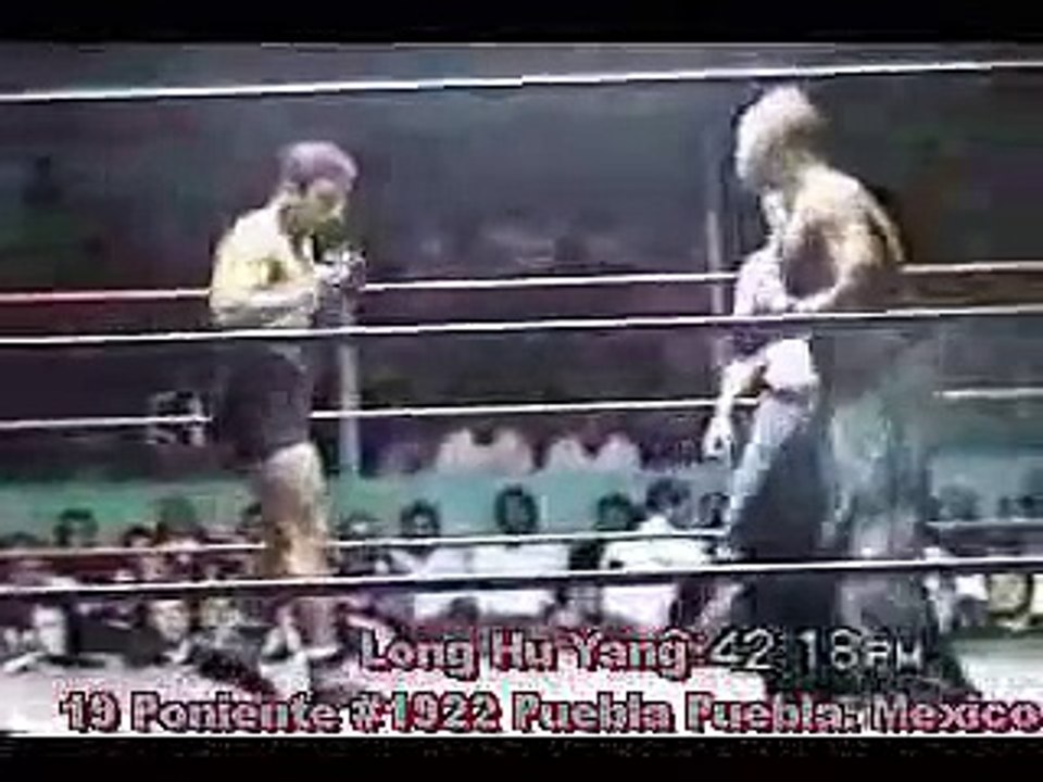MMA - Capoeira vs. Kickboxer