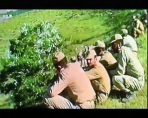 Abbas Kiarostami on Digital Camera