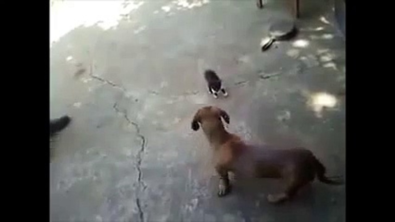 Funny Video "Hit The Son And Mother Of She picked" پرتفریح ویڈیو "بیٹا مارا اور وہ بچوں کی ماں اٹھایا" मजेदार वीडियो "बेटा मारा और वह माँ उठाया" মজার ভিডিও "হে মানুষের সন্তান আঘাত, এবং তিনি মা বাছাই"  فيديو مضحك "ضرب الابن والأم وقالت إنها التقطت"  Video