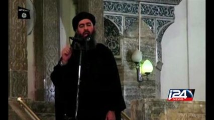 US weapons 'expedited' to Iraq amid IS advance: Biden