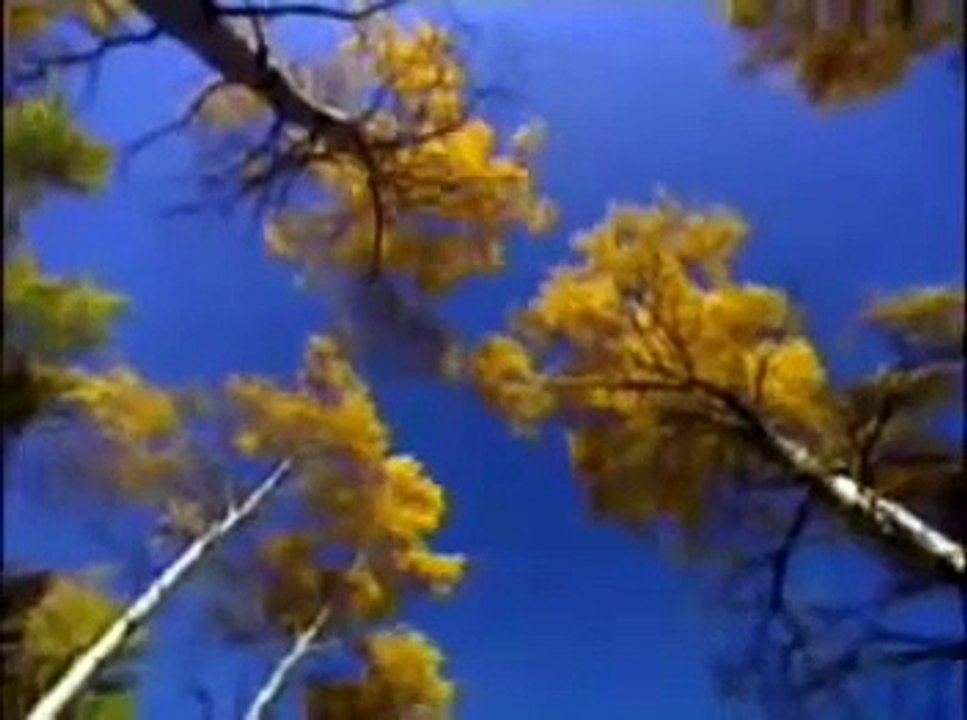 Dios esta aqui tan cierto como el aire que respiro