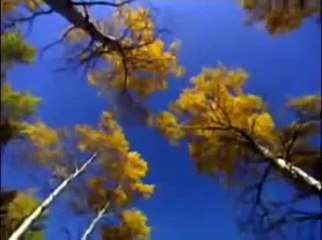 Dios esta aqui tan cierto como el aire que respiro