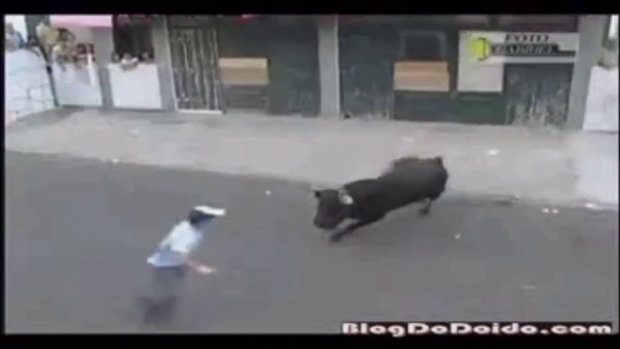 "BULLFIGHTING, The Bull Taking The Best" Very Funny !!!