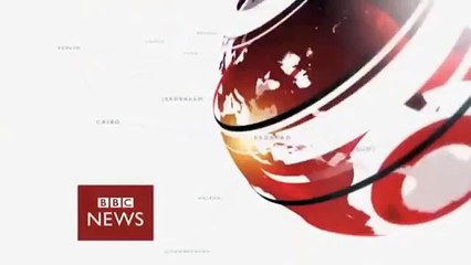 LWC - BBC Newsday - Flappy bird flapping into our hearts