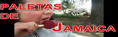 PALETAS DE JAMAICA - ALMIBAR JARABE MIELES RASPADOS - Lorena Lara