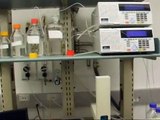 Applied Biosystems API4000 Triple Quadrupole Mass Spectrometer MS030 Leased