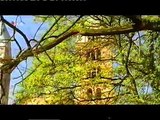 Dom zu Speyer - Die Kirche der salischen Kaiser - Deutschland