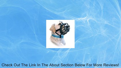 Dog Baskerville Ultra Muzzle Size 5 (Blue) Review