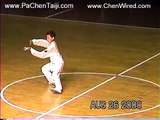Chen Taijiquan demo from Chen Xiaowang's son, Chen Pengfei