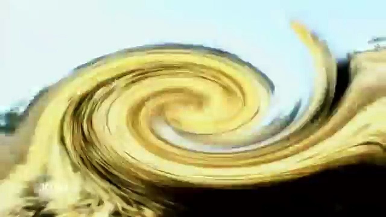 Be A Lioness! - Xandria - The Lioness