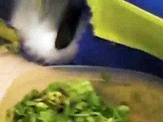 Hayley having a late lunch