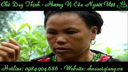 Thưởng thức vị ngọt trà suối giàng