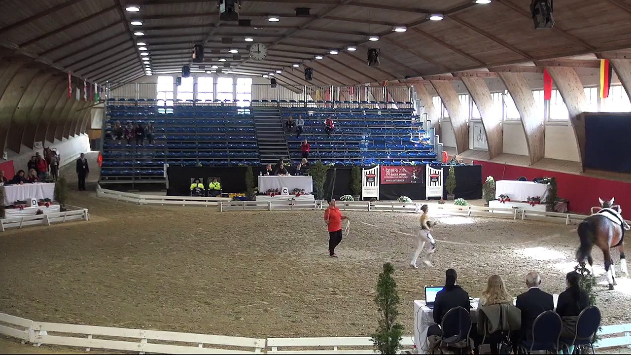 CVI Bern (REPLAY) - Sunday 09:00 - 09:40 - Individual CVIJ2* Compulsory2 & Pas de Deux CVI3* - Freestyle2