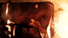 VID_20150517_095346_552