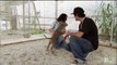 Farah, Mark and Carlito's Happily Ever After | Pit Bulls and Parolees
