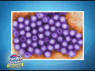 Poisonous bacteria can hide in food