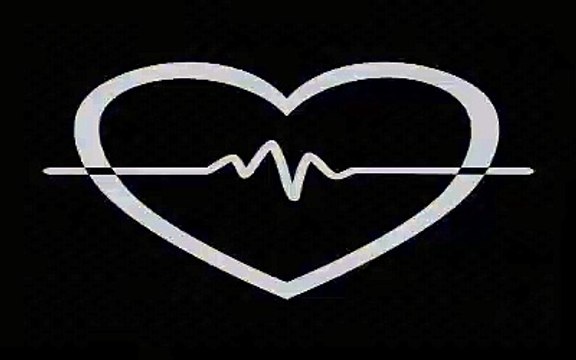 Download Anatomy [PDF] [EPUB] [FREE] A Regional Atlas of the Human Body