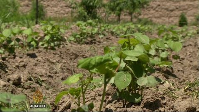 Local fighters hold front line against Afghan Taliban