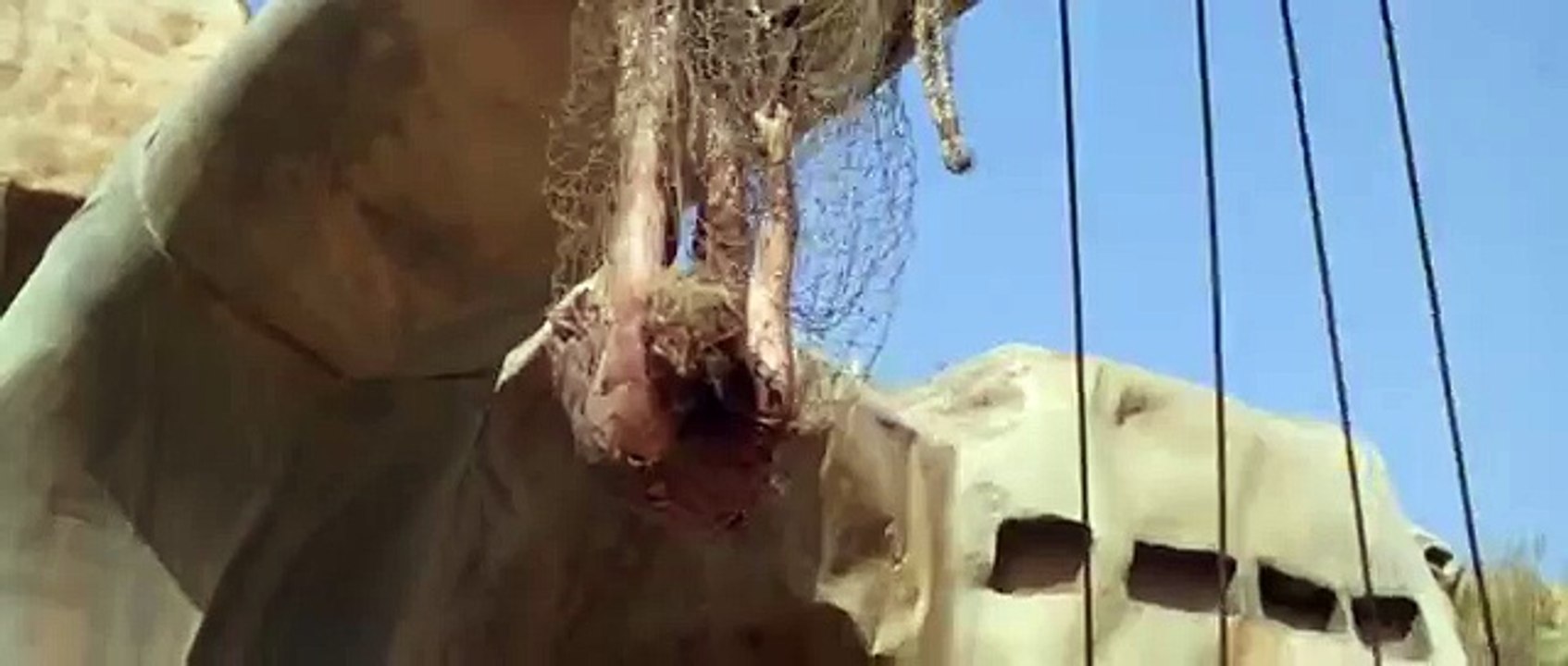 El planeta de los simios. VO