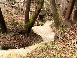 Οι στόχοι του Κ. Μπακογιάννη για τον Σπερχειό