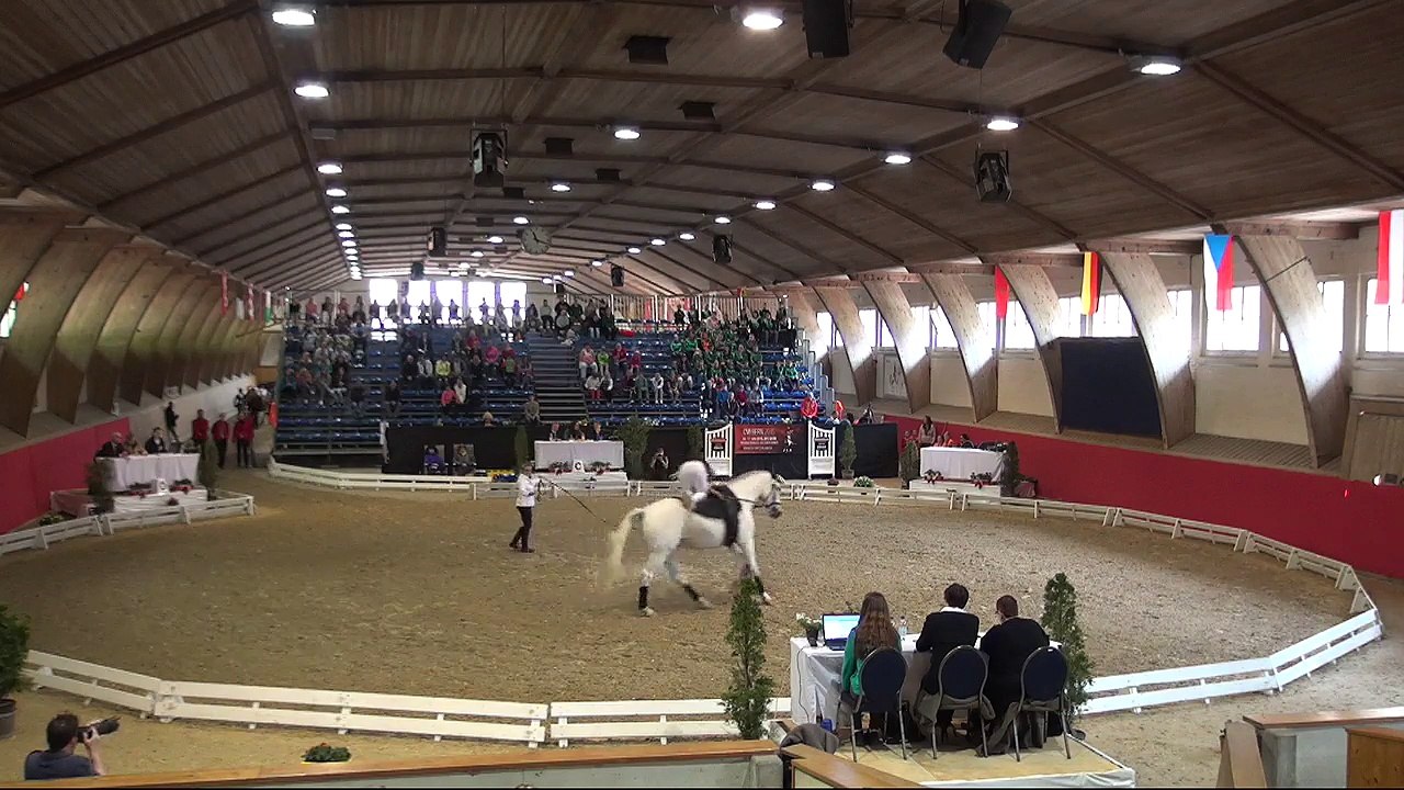 CVI Bern 2015 (REPLAY)  Sunday 11:15 -14:40  - CVIJ2* & CVI3* Freestyle2