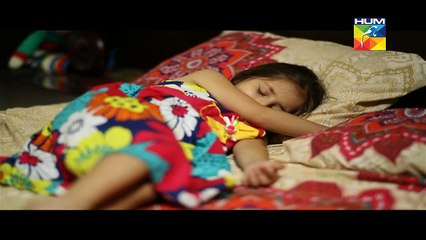 Dil Ka Kya Rung Karun Episode 12 Full HUM TV Drama May 16, 2015-
