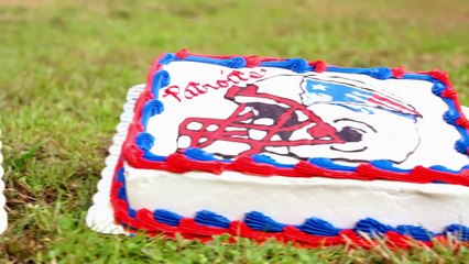 Elephant Predicts 2015 Super Bowl Winner