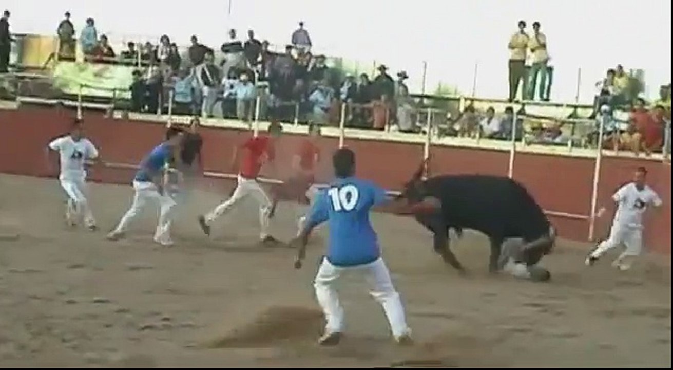 Cogidas Toros Videos de Toros Bravos