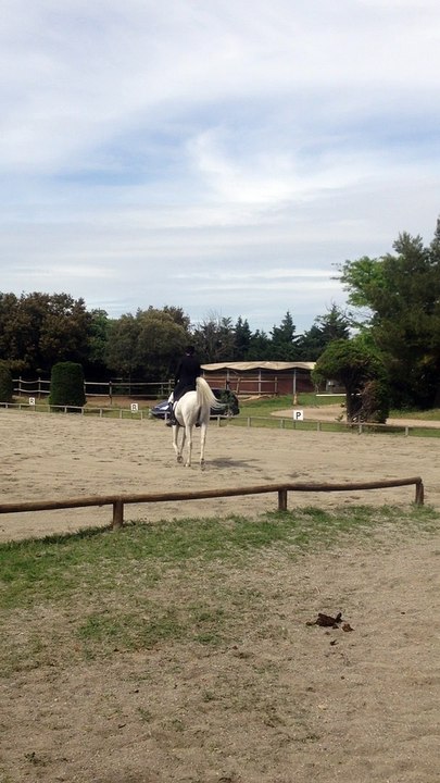 Oxand - CCE Vedène 02-05-15 Pro2 - Dressage