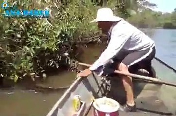 Dünyanın En Büyük Dev Yılanını Kuyrugundan Tutup Çekmeye Çalışan Adam...