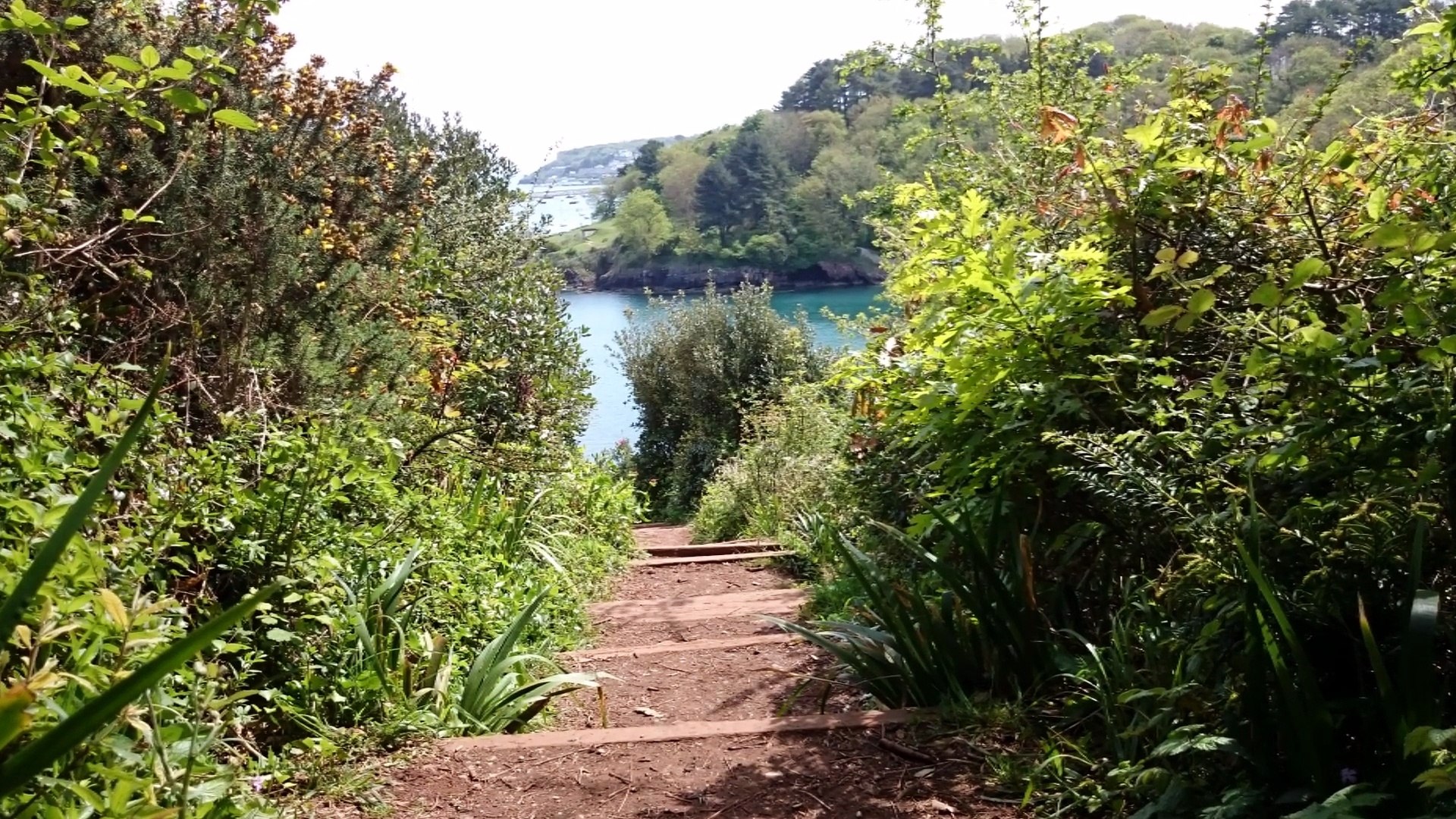 ⁣Nice music & photos of scenic coastal path UK