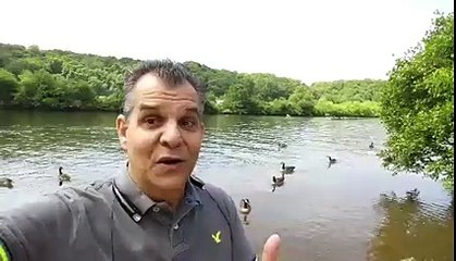 Roberto Vieira - Wor(l)d