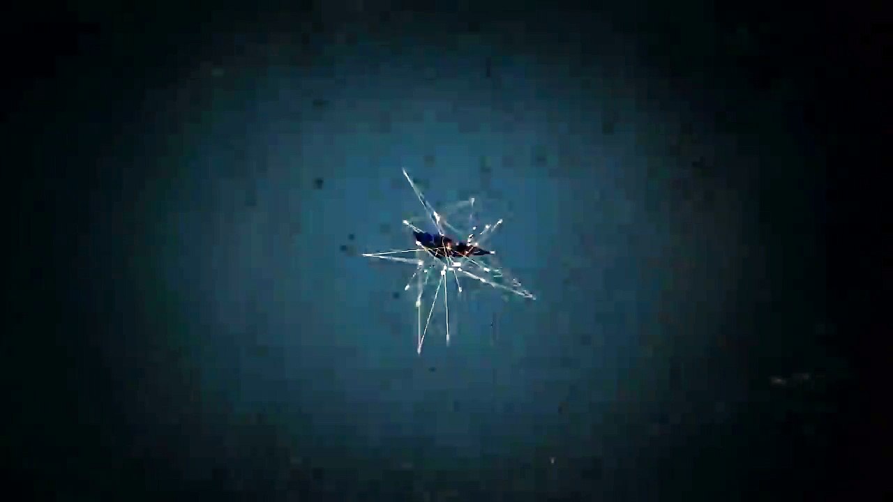 Fans de Tigres y Santos se insultaron tras juego