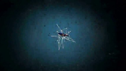 Fans de Tigres y Santos se insultaron tras juego