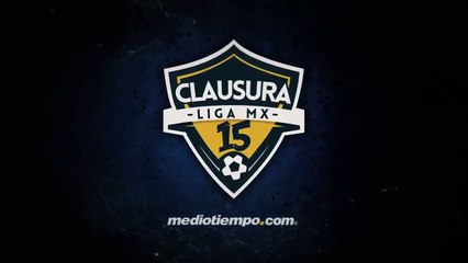 Estamos apuntando a cosas grandes: 'Conejo'