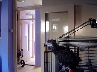 Jojo na het douchen lekker aan het kletsen deel 1