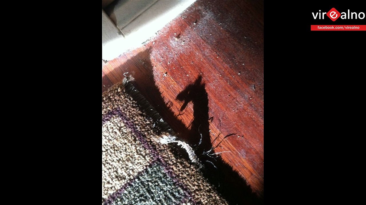 Weird And Misleading Shadows From Normal Everyday