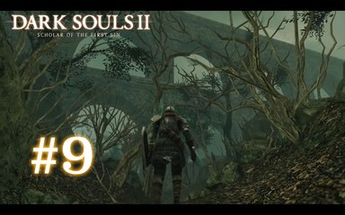 Dark Souls II [9] - "En route pour la claymore"