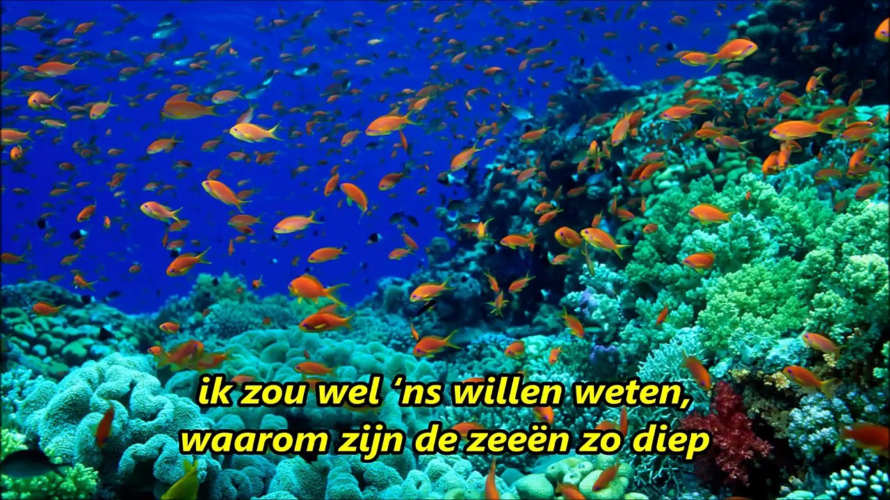 1955 IK ZOU WEL EENS WILLEN WETEN Jules de Corte