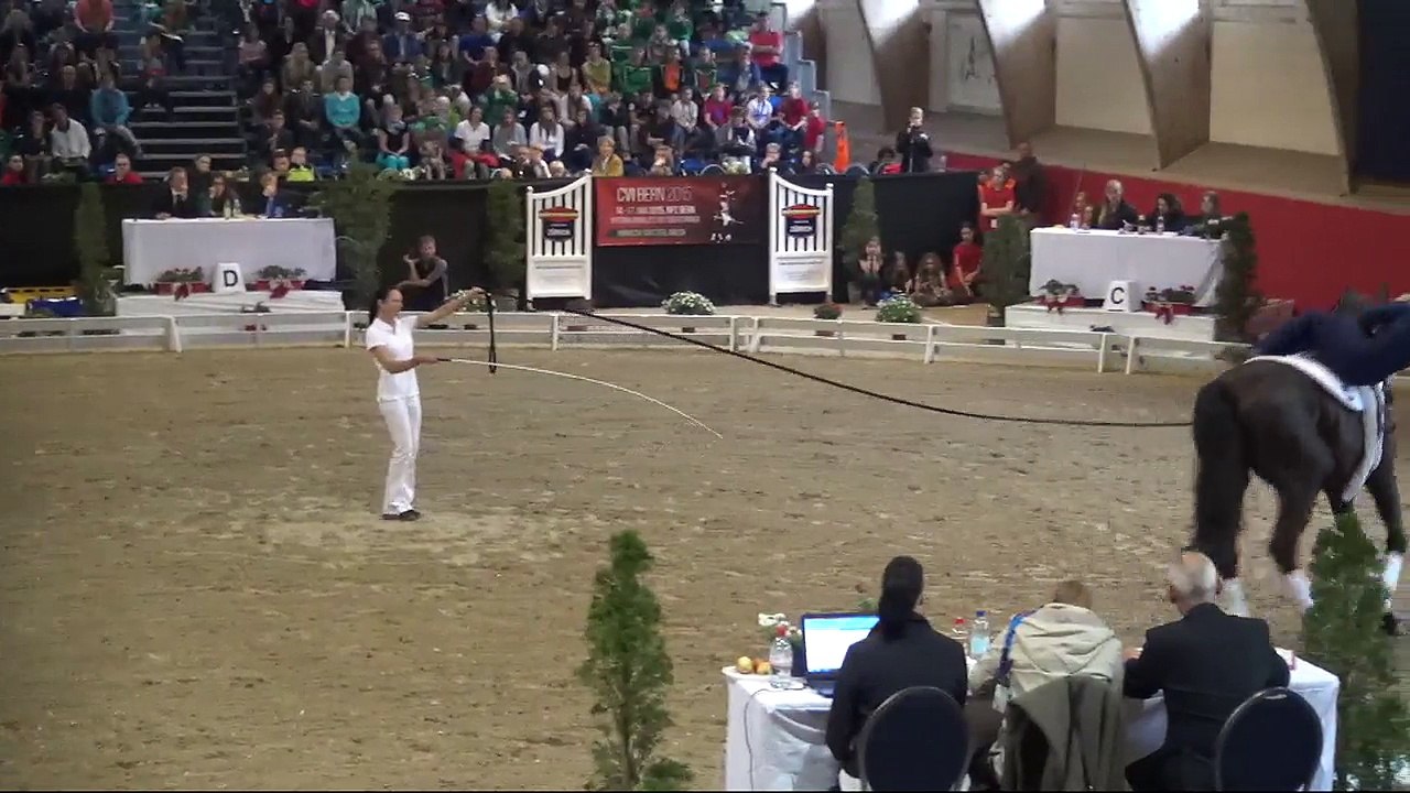 CVI Bern 2015 (REPLAY) - Individual Male CVI3* - Colin Michel  (SUI) – Freestyle2